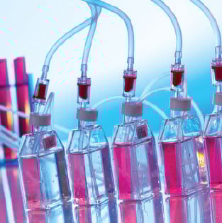 Bioproduction