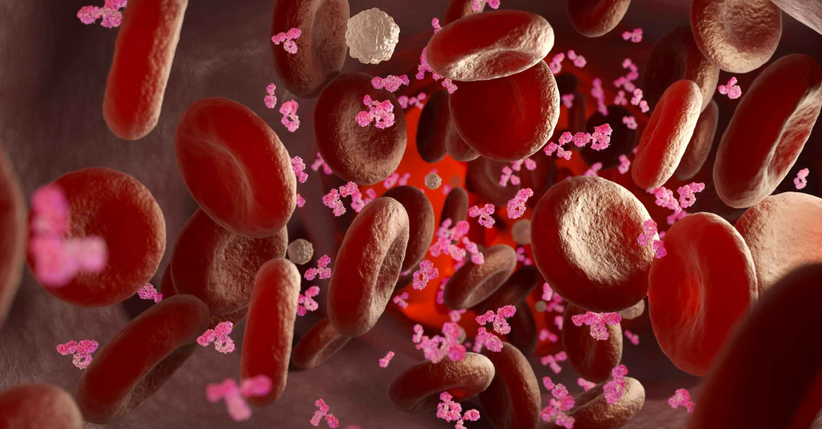 CBC_ Leukocytes & Platelets 1200x627