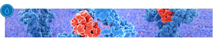 Discovery-Center-9-MKPV-Banner_03-3