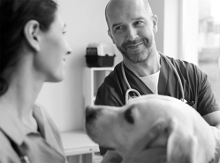 gobal-medical-consulting-services.png__800x800_subject_location-1469,1098_subsampling-2