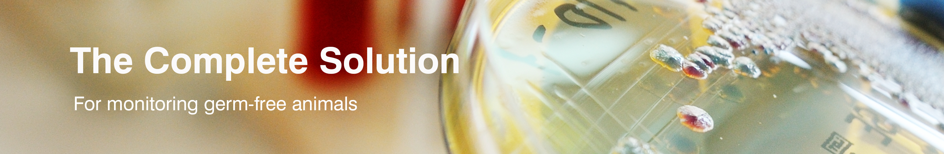 New-Landing-Banner-GNTO-WHITE-RE-1.png