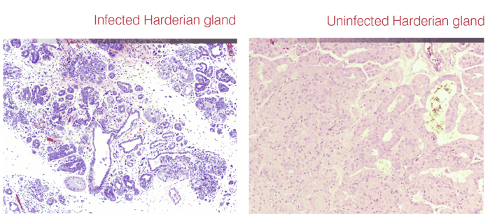 RPOLY-IPad-Sales-Presentation-f-4.png RPOLY-IPad-Sales-Presentation-f-4.png