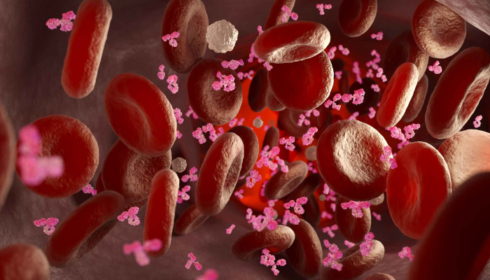 Webinars | CBC Basics: The Erythrogram