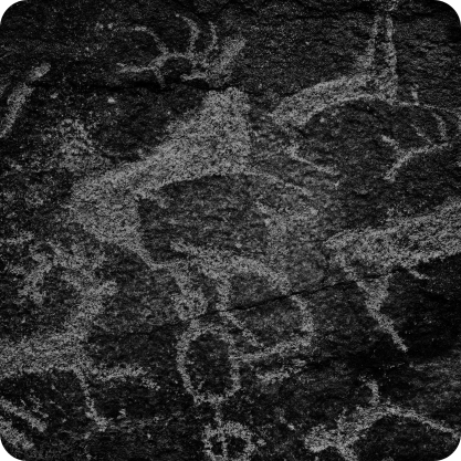 image track